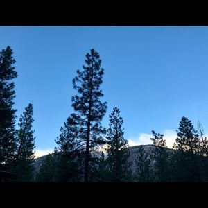 Meet your Posher, Richelle